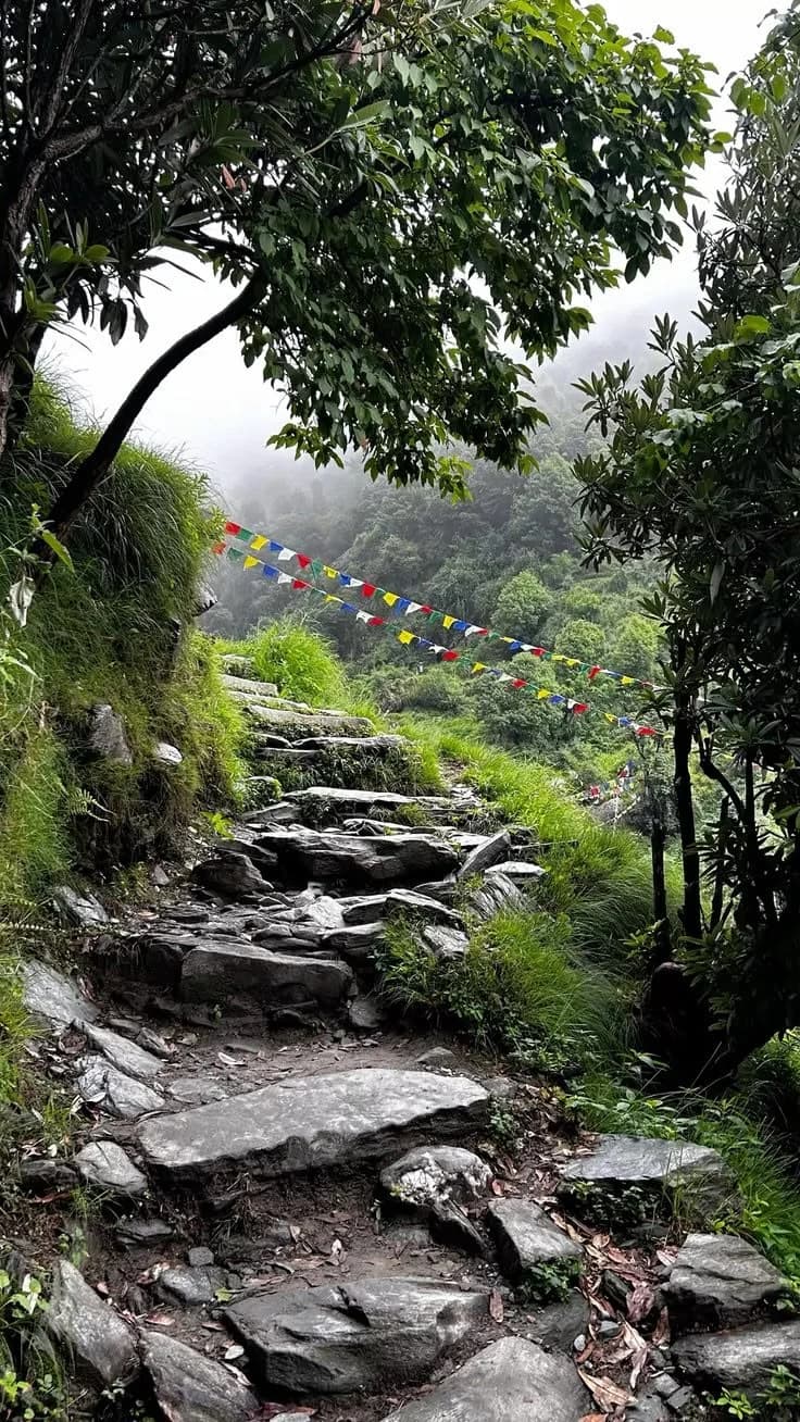A hiking view